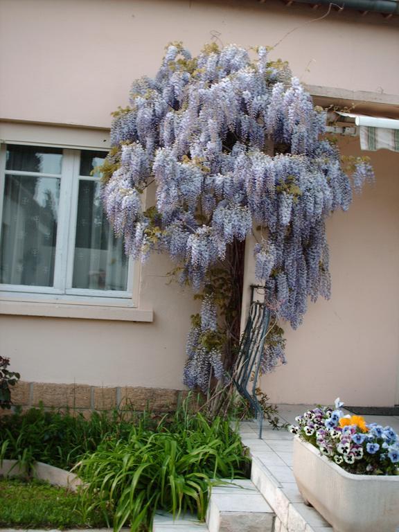 Les Tilleuls B&B Orange  Zewnętrze zdjęcie